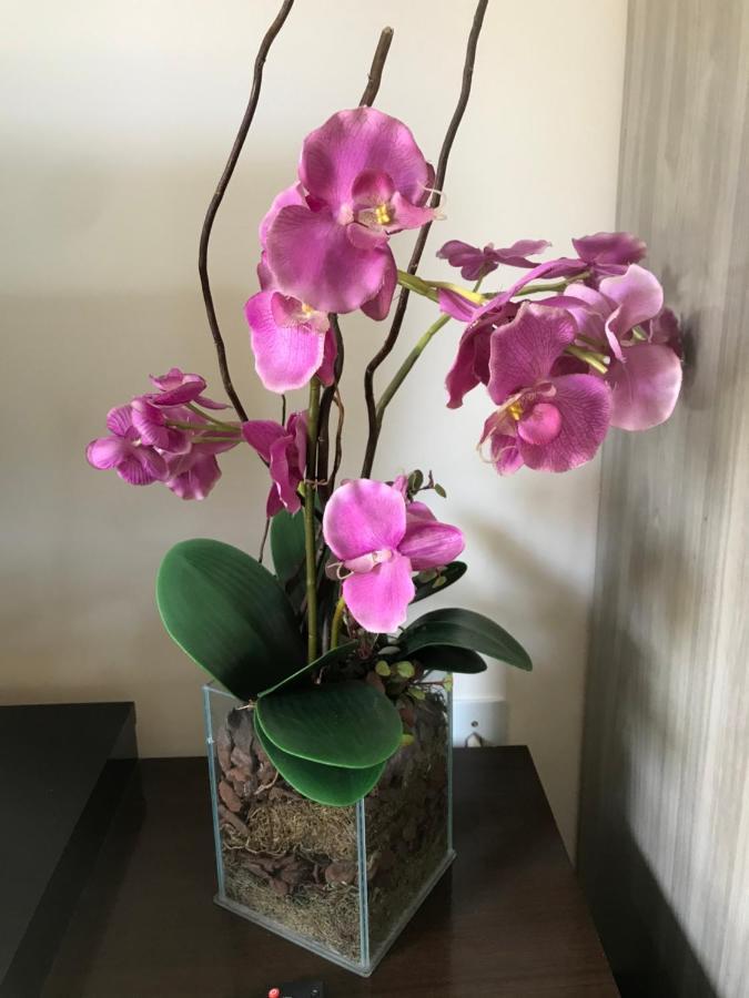 Aconchego Proximo A Cascaneia E Blumenau ガスパール エクステリア 写真